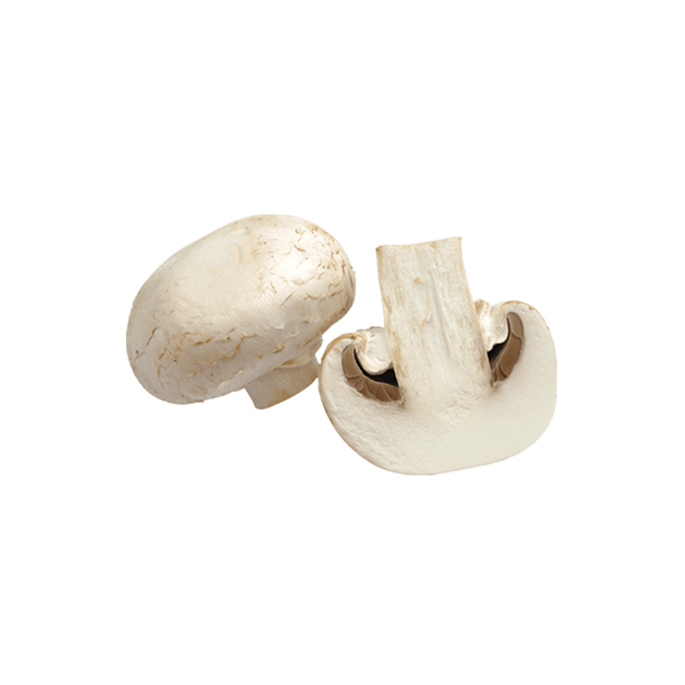 Champignons